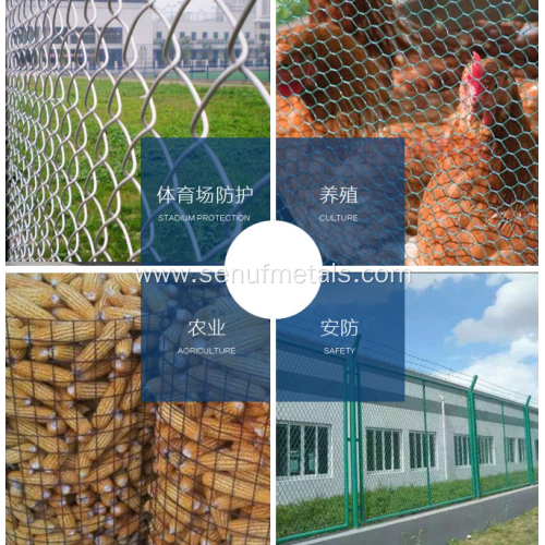 Hexagonal wire mesh netting